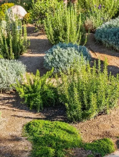 bb2ef9114088561a225add0dd8c49883a386c49a