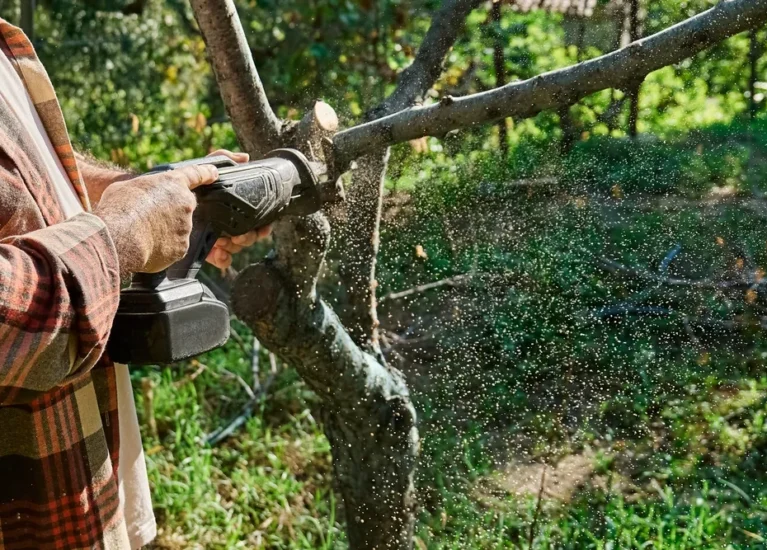 94e09a4902a6882c0024c0d9cef54915d566a0ab